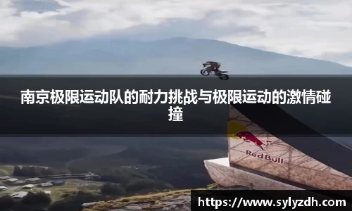yy易游