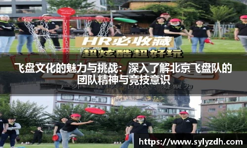 yy易游