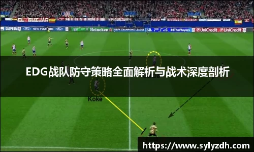 yy易游体育