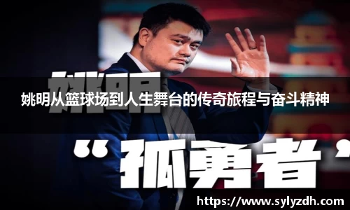 yy易游