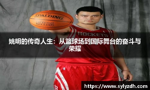yy易游
