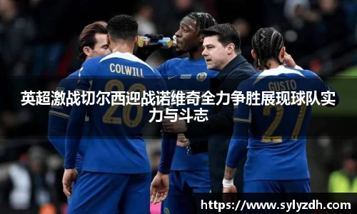 英超激战切尔西迎战诺维奇全力争胜展现球队实力与斗志