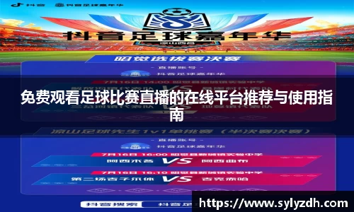 yy易游