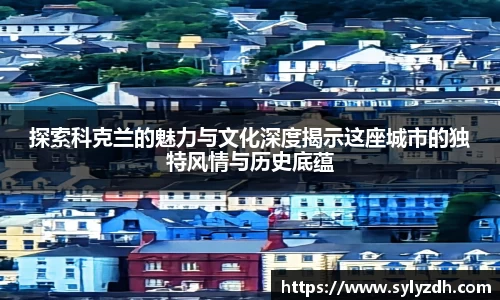 yy易游